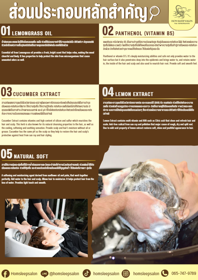 homsleepsalon service 2